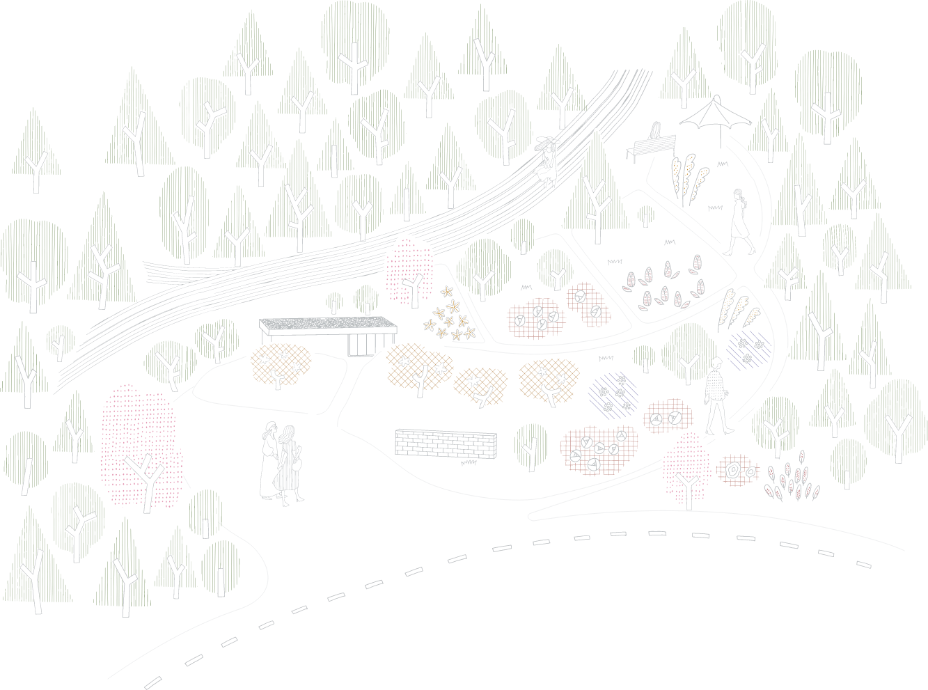 モアの森イラスト